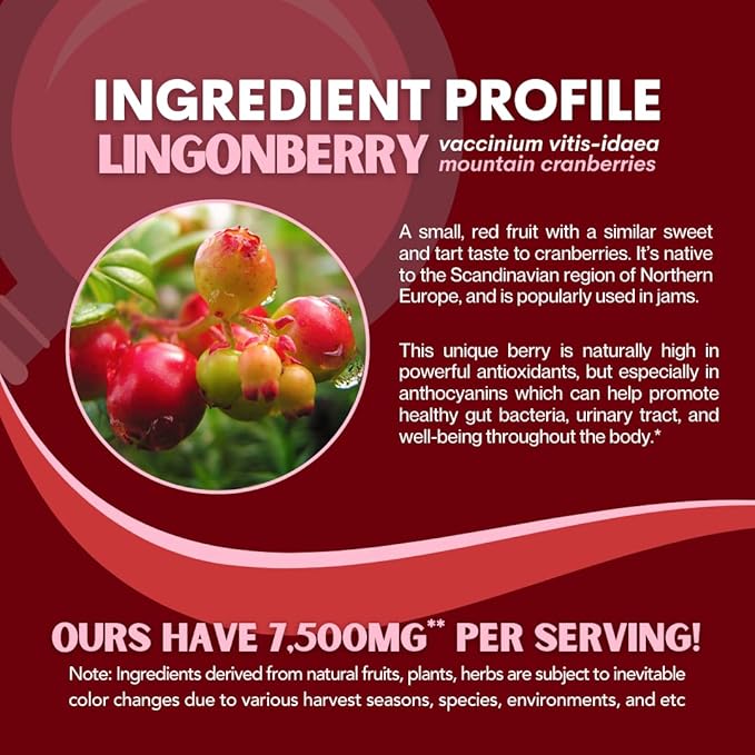 Lingonberry Powder 7500mg for Urinary Tract, Blood Circulation, Gut Health, Eye Health, Antioxidant Support - Pure 5:1 Ratio & 180 Veggie Capsules - Non-GMO, Gluten-Free, Vegan-Friendly Supplement