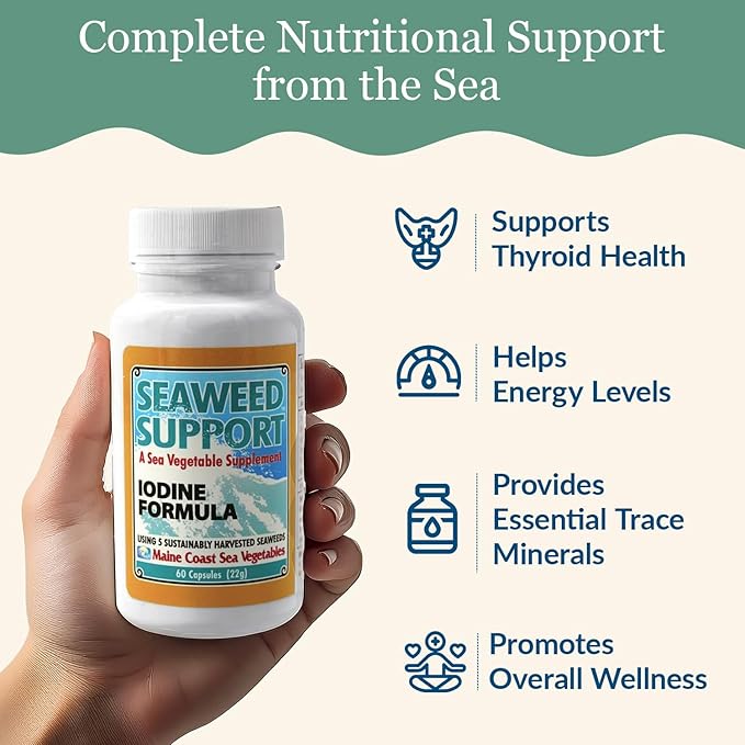Maine Coast Sea Vegetables Seaweed Support Iodine Formula | Source of Iodine from Seaweed | Daily Use Iodine Supplement | Organic Alaria, Rockweed, Sea Lettuce, Dulse & Bladderwrack blend | 60 Capsule