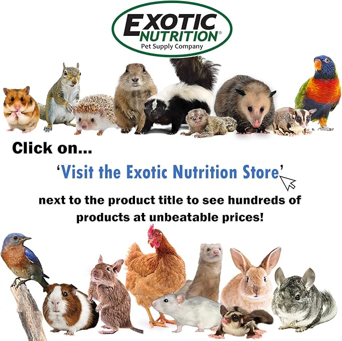 Squirrel-Cal and Squirrel Booster (2 Pack) - Ultra-fine Powdered Calcium Supplement - for Pet Squirrels