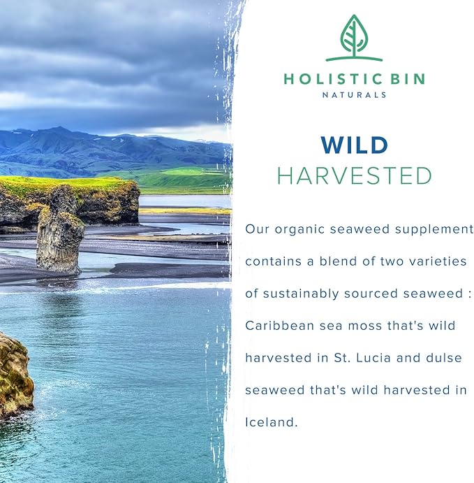 Holistic Bin Organic Sea Moss Capsules 100% Pure Caribbean Sea Moss + Dulse Seaweed | Wild Harvested | No Fillers | Rich in Antioxidants, Minerals, and Iodine (40 Capsules)