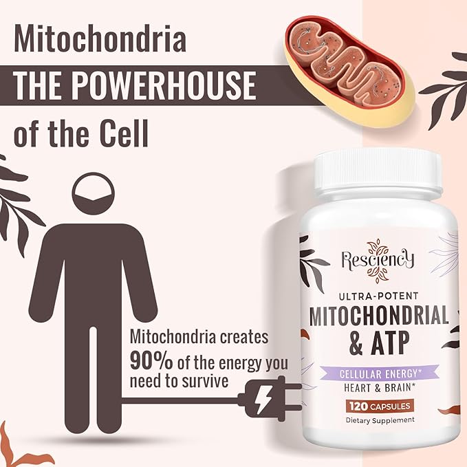 2326 MG Mitochondrial Supplements with ATP, Vitamins, CoQ10 & PQQ, More Effective Than Creatine HMB & Nitric Oxide, Energy, Endurance, Strength, Recovery & Muscle, Organic, 240 Capsules