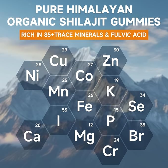 2 Packs Shilajit Gummies 1000mg Sugar Free - Pure Himalayan Shilajit Supplement for Men & Women - High in 85+ Trace Minerals & Fulvic Acid - Energy, Brain, Immunity - 120 Gummies