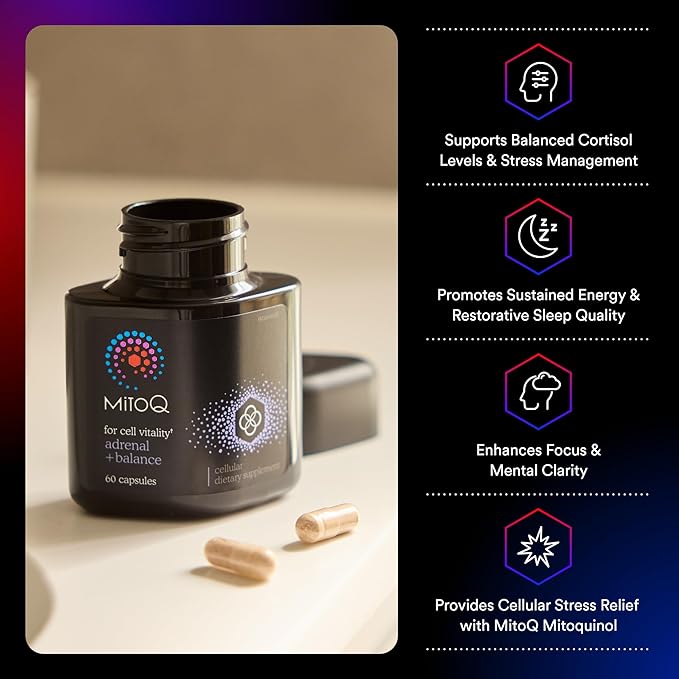 MitoQ +Balance | Sensoril Ashwagandha, Rhodiola & Maritime | Support Balanced Cortisol Levels, Stress Management, Restorative Sleep & Cell Health (60 Capsules)