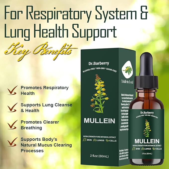 Mullein Drops for Lungs - Lung Detox for Respiratory System, Supports Overall Lung Health, Natural Echinacea Herbal Supplements, Non-GMO, Vegetarian (2 Fl Oz (Pack of 1))