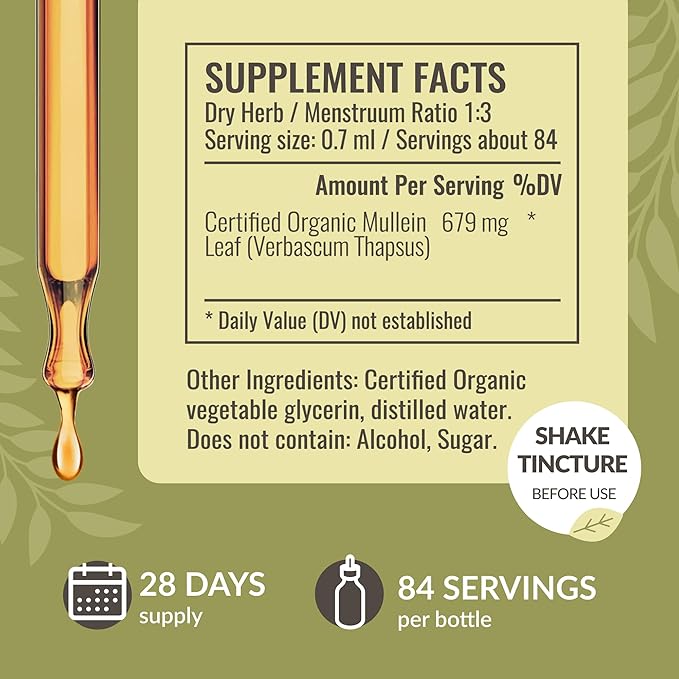 HERBAMAMA Liquid Drops Kit - Bundle of Turmeric Ginger Extract and Mullein Leaf Tincture 2 fl oz - Vegan, Non-GMO, Sugar & Alcohol-Free - 2 Pack