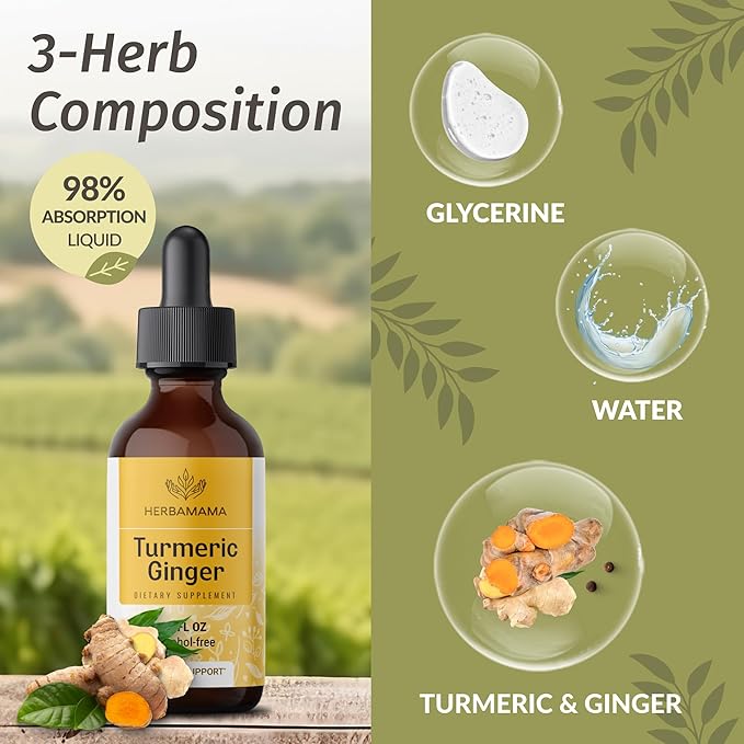 HERBAMAMA Turmeric Ginger and Goldenseal Kit - Bundle of Turmeric Ginger Tincture 2 fl oz and 700 mg Goldenseal Root Capsules - Vegan, Non GMO, Sugar & Alcohol-Free - 2 Pack