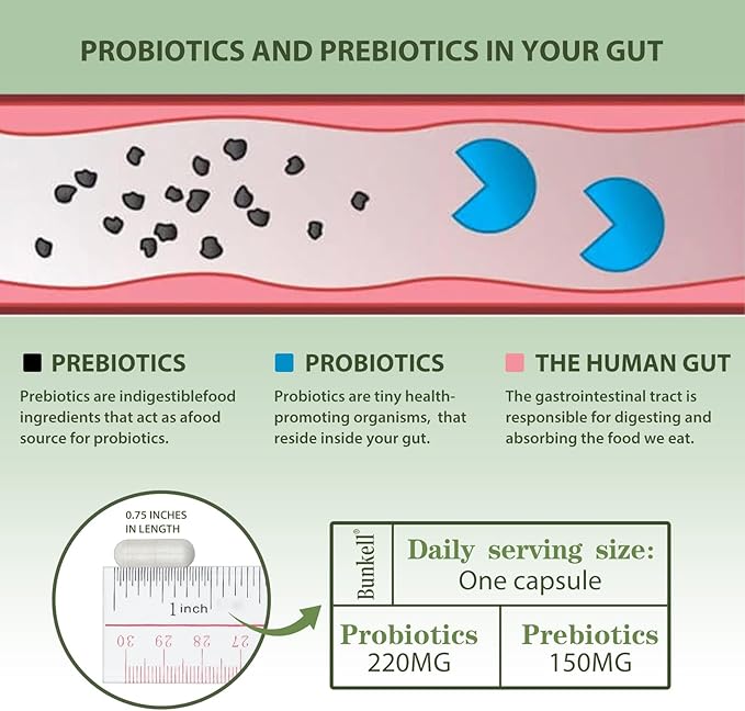 Probiotics 60 Billion CFU 10 Strains, with Organic Probiotic for Digestive & Gut, Immune, Bloating Health, Daily Probiotics Supplement for Women & Men, Non-GMO, Gluten Free, 30 Capsules