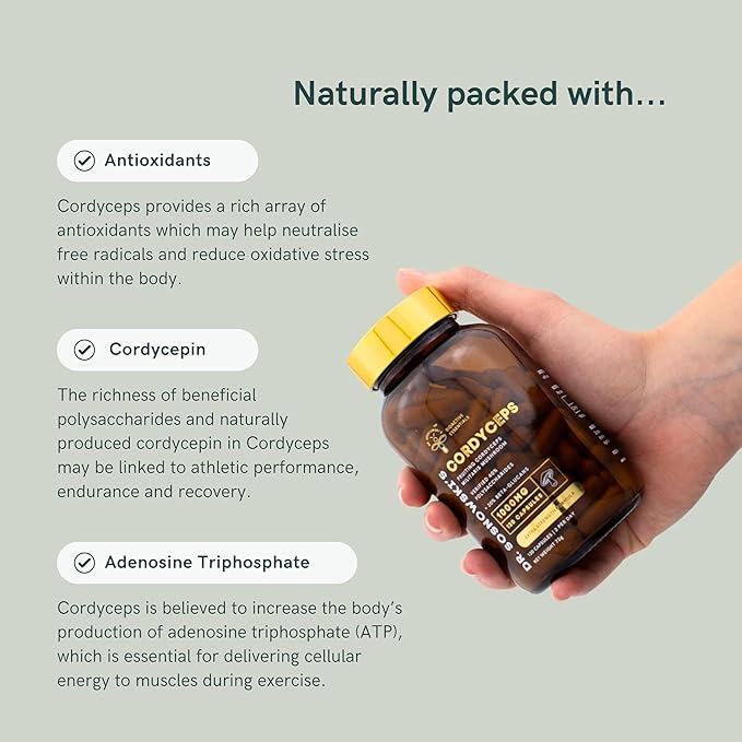 Dr Sosnowski's BioActive Cordyceps Mushroom Capsules | 1000mg High Strength Cordyceps Extract for Daily Support (120 Capsules)