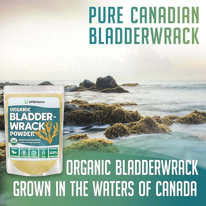 XPRS Nutra Organic Bladderwrack Powder (Fucus Vesiculosus) - Premium Bladderwrack Organic Powder for Glowing Skin - Vegan Friendly Bladderwrack Herb Iodine Supplement (8 Ounce)