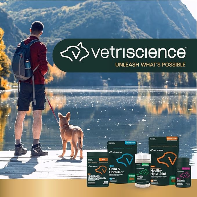 VetriScience Extra Strength Gut Health Probiotic & Prebiotic Digestive Supplements for Dogs & Cats, Gas & Diarrhea & Immune Support, Easy-Open Capsules, 120 Count - New Look