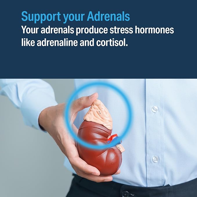 – Advanced Adrenal Factor, Adrenal Gland Support for Cortisol, Energy, Adrenal Gland Function, Adrenal Cortex Extract, Non GMO, Gluten Free, Dairy Free, Vegan (120 Tablets)