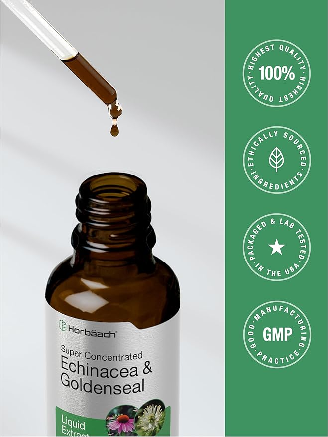 Horbäach Echinacea Goldenseal Liquid Extract | 2 fl oz | Alcohol Free Tincture Drops | Vegetarian, Non-GMO, Gluten Free