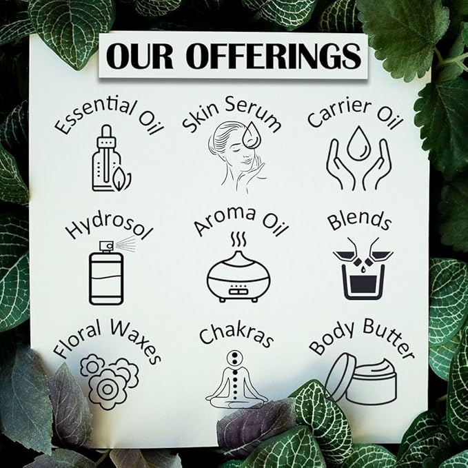 Natural Activated Carbon Fine Charcoal Powder From Coconut Shell 100% Organic Pure & Natural 100gm (3.5 oz)