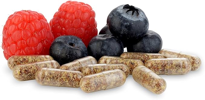 Equilibrium Probiotic Supplement with Prebiotic - Daily Time Release - 60 Effective Easy to Swallow Capsules - Highest Strain Count in The World - 2 Bottles