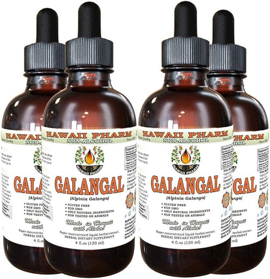 Galangal Root Alcohol-Free Liquid Extract, Organic Organic Galangal (Alpinia Galangal) Dried Root Glycerite Hawaii Pharm Natural Herbal Supplement 4x4 oz