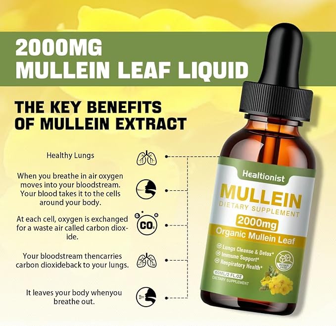 1 Pack Mullein Drops for Lungs - Leaf Extract Liquid - Powerful Mullein for Immune Support, Cleanse - Detox & Respiratory, Digestive System, Natural Herbal Supplement Tincture, Tea - 2 fl oz Vegan