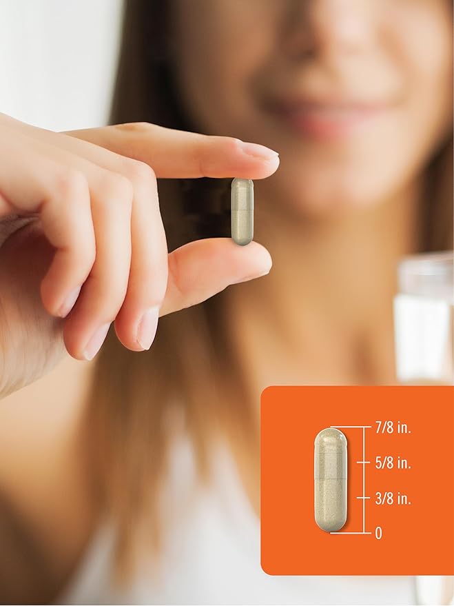 Carlyle Reishi Mushroom Capsules 5000 mg | 120 Count | Non-GMO and Gluten Free Extract Supplement | Wiseshroom