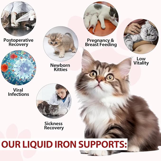 Liquid Iron Supplements for Cats and Kittens - with Folate and B12 – Supplements Anemia, Promotes Blood Health, Oxygen Supply and Blood Cell Formation – Increase Low Energy Levels – Lethargy - 2 oz