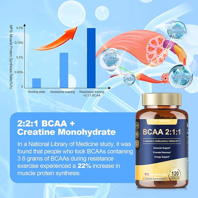 High Purity Branched Chain Amino Acids Supplement - BCAA 2:1:1 Capsules with Creatine Monohydrate, L-Glutamine, Vitamin B6 and Vitamin C for Men & Women, 120 Count