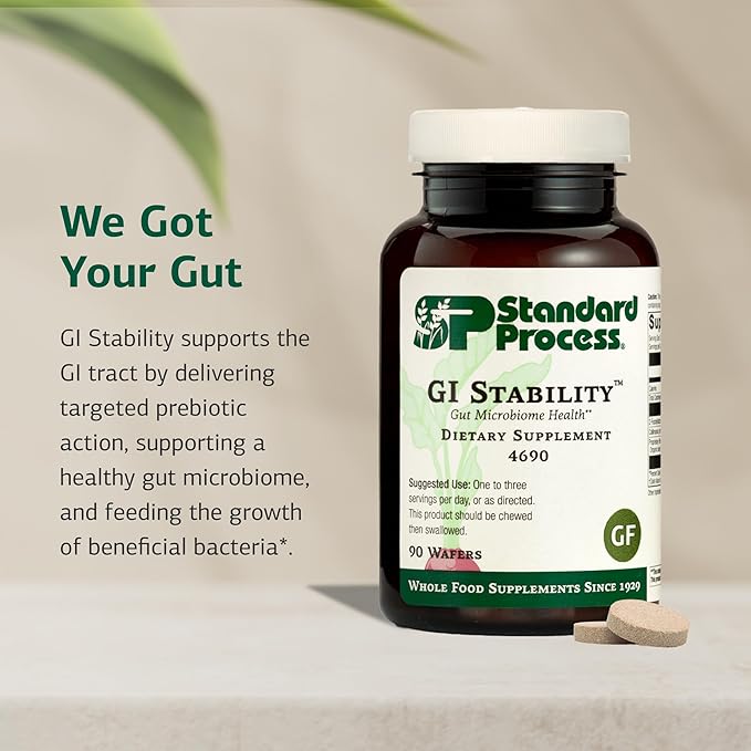 Standard Process Inc. GI Stability - 90 Wafers