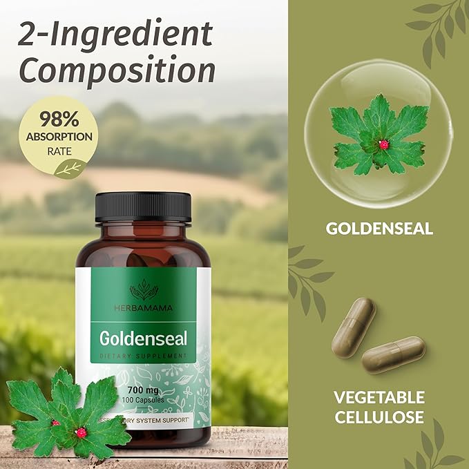 HERBAMAMA Turmeric Ginger and Goldenseal Kit - Bundle of Turmeric Ginger Tincture 2 fl oz and 700 mg Goldenseal Root Capsules - Vegan, Non GMO, Sugar & Alcohol-Free - 2 Pack
