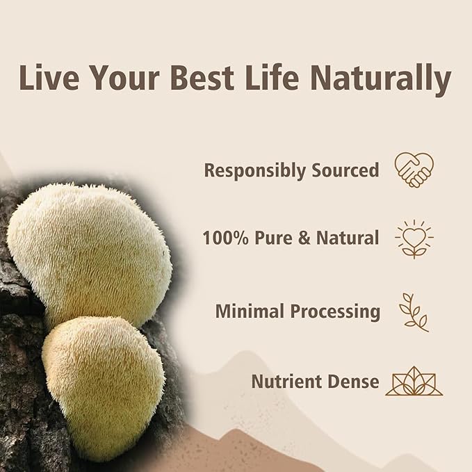 Lion's Mane Powder, Lions Mane Mushroom, Brain Health Support Supplement, Mushroom Supplement for Mental Clarity, Cognition and Immunity, 9.17oz