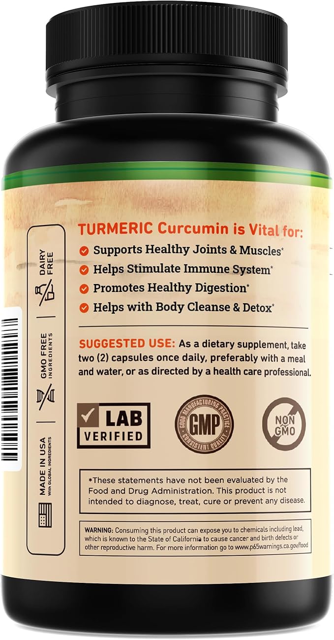 Nature's Base Turmeric Curcumin Supplement - with Ginger, Apple Cider Vinegar, & BioPerine Black Pepper Extract - 95% Curcuminoids - 120 Capsules