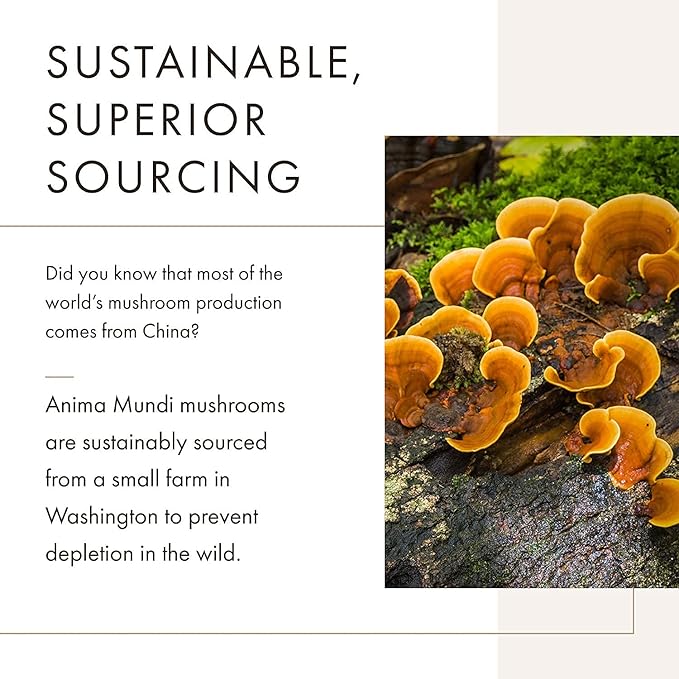 Anima Mundi Apothecary Soma 7 Mushroom Adaptogenic Elixir - Mushroom Liquid Extract Tincture with Reishi, Chaga, Lions Mane & Cordyceps - Vegan Immune Support Tincture (2oz)