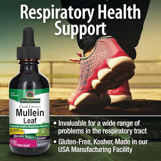 Natures Answer Mullein Leaf Low Alcohol 2000mg 2 oz Extract | Supports Respiratory Wellness | Gluten-Free, Vegan, Non-GMO, No Artificial Flavors or Preservatives | Single Count