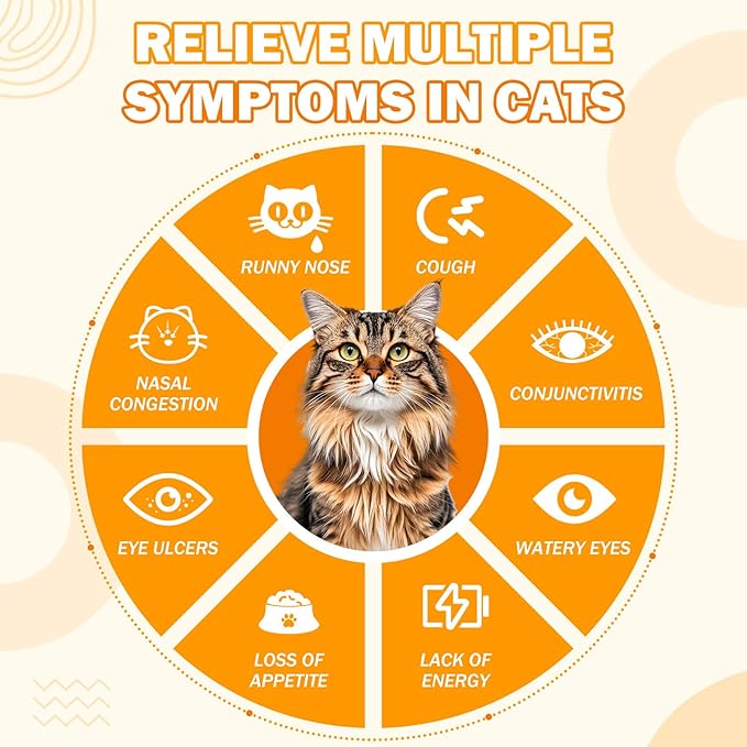L-Lysine Supplement for Cats 1000 mg/Scoop L Lysine Oral Powder with L-Lysine Prebiotics Krill DMG for Kittens Sneezing Runny Nose Immune Respiratory System Eye Health 7 OZ Chicken Flavor