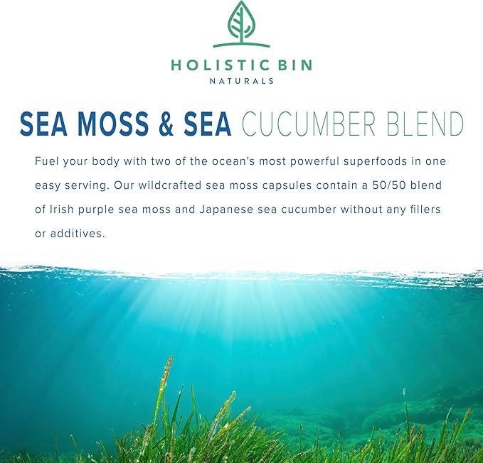 Holistic Bin Purple Sea Moss and Sea Cucumber Supplement Wildcrafted Raw Sea Moss Capsules | 500mg Sea Vegetables Per Serving