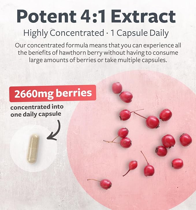 Super Potent Hawthorn Berry Extract Capsules - Hawthorn Berry Supplement Made from Extra Strength Concentrate to Support Heart and Digestive Health - Vegan Non-GMO & Gluten Free (2 Month Supply)