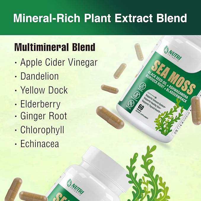 Sea Moss Black Seed Oil Ashwagandha Ginger Supplement - Irish Sea Moss with Turmeric, Bladderwrack & Burdock - 16 in 1 Immune, Joint and Gut Support - 60 Capsules