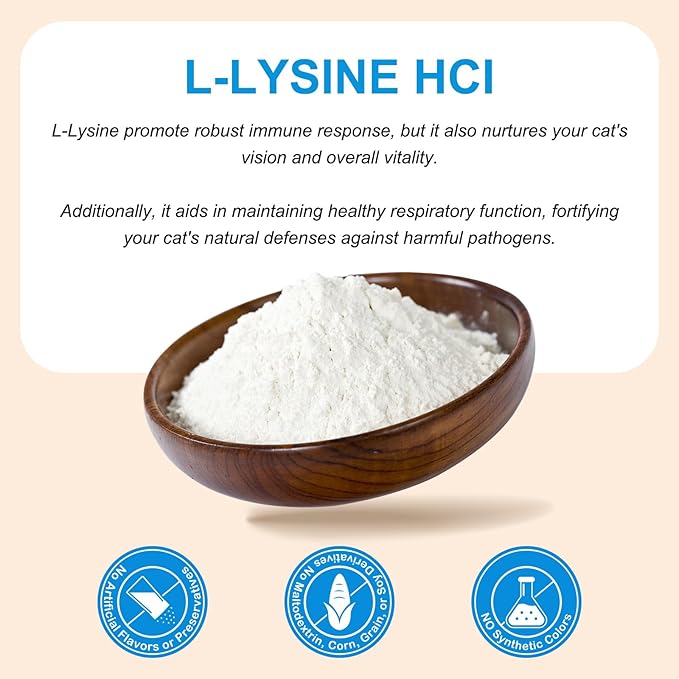 L-Lysine Powder for Cats, 2PC Lysine Powder Supplement Support Cats Immune Respiratory Health – Lysine Powder for Cats Eye Care, Pets Health Supplemnt for Cats of All Age - Salmon Flavor / 120g x 2