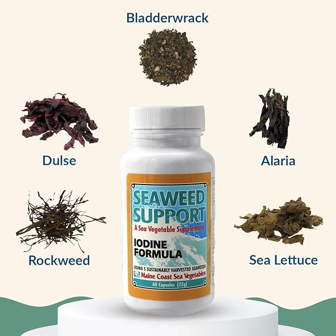 Maine Coast Sea Vegetables Seaweed Support Iodine Formula | Source of Iodine from Seaweed | Daily Use Iodine Supplement | Organic Alaria, Rockweed, Sea Lettuce, Dulse & Bladderwrack blend | 60 Capsule