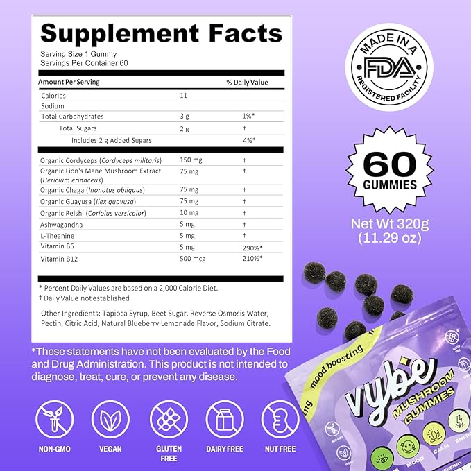Vybe Mushroom Gummies for Focus and Energy - All-In-One Daily Mushroom Supplement - 8-in-1 Adaptogen Supplement Blend with Lion’s Mane, Cordyceps, Reishi, Chaga, Ashwagandha (Blueberry, 60-Count)