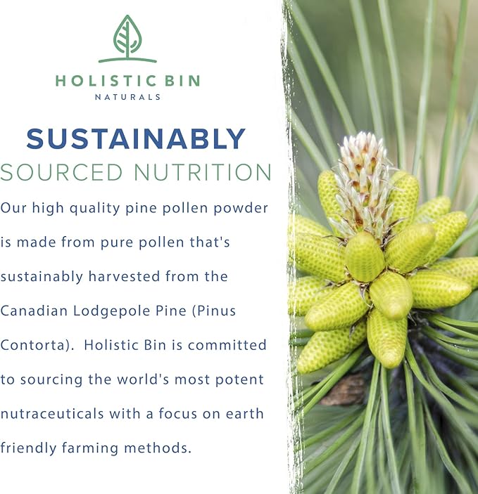 Holistic Bin Organic Pine Pollen Powder Pharmaceutical Grade, Wild Harvested, Golden Canadian Pine Pollen | Non GMO, No Additives | Pure Pollen Supplement Made from The Lodgepole Pine Tree, 20 g