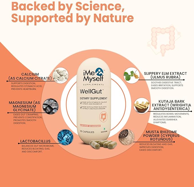 WellGut Daily Herbal Supplement | Traditional Herbs with Minerals & Probiotics 90 Vegan Capsules