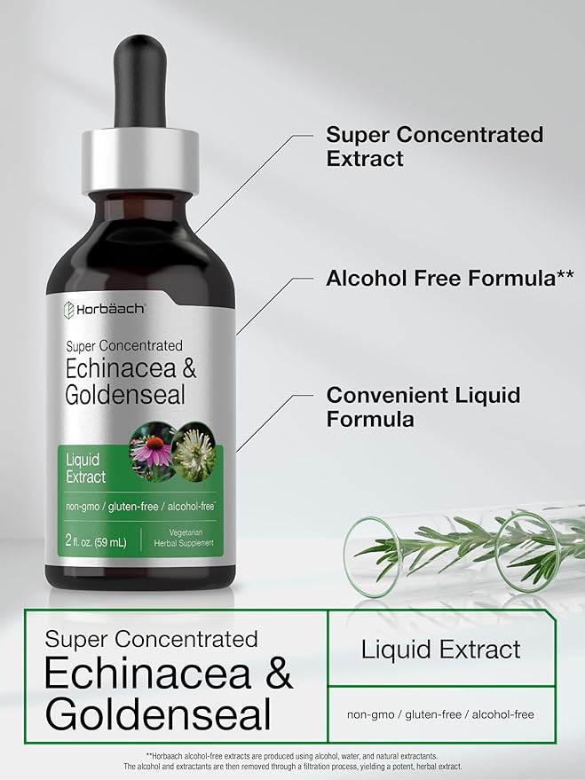Horbäach Echinacea Goldenseal Liquid Extract | 2 fl oz | Alcohol Free Tincture Drops | Vegetarian, Non-GMO, Gluten Free