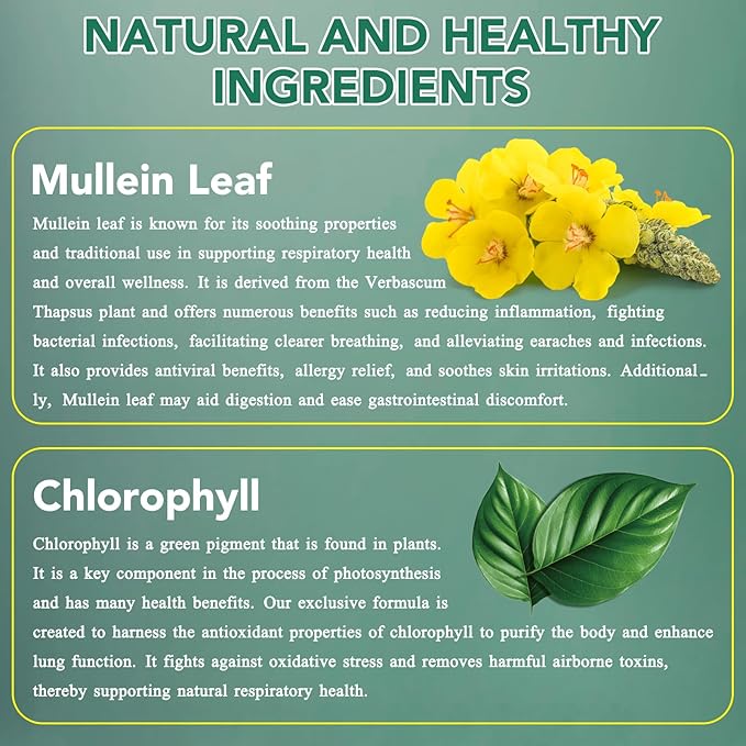 Mullein Drops for Lungs, Natural Mullein Leaf Extract, Mullein and Chlorophyll Drops for Lungs, Breathing Support Supplement (2 Fl Oz/1Pack)