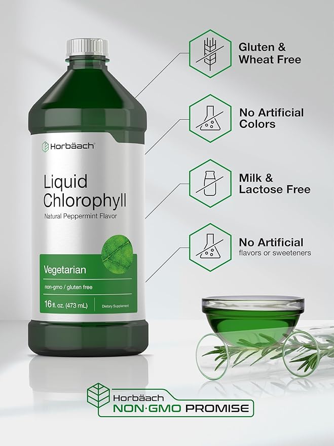 Horbäach Chlorophyll Liquid Drops | 100mg | 32 oz (2 x 16 oz Bottles) | Natural Peppermint Flavor | Vegetarian, Non-GMO, Gluten Free Supplement