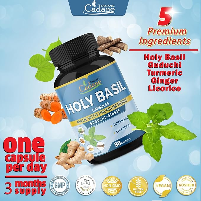 Organic Cadane Holy Basil Supplements Capsules, 5in1 with Guduchi, Ginger, Turmeric Curcumin, Licorice - Support Immune - 90 Capsules for 3 Months