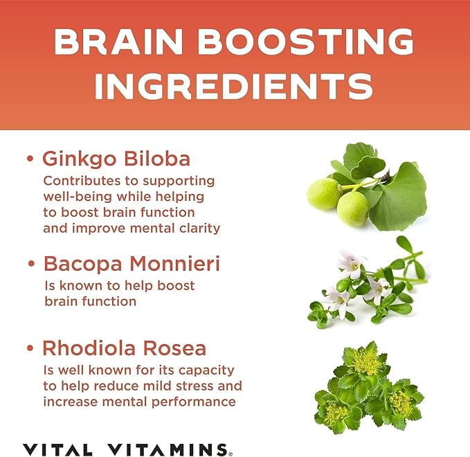 Vital Vitamins Brain Supplements for Memory and Focus (3 Pack) – Nootropic Brain Booster with Ginkgo Biloba, Rhodiola, B12 – Caffeine-Free Support for Adults & Seniors – 90-Day Supply