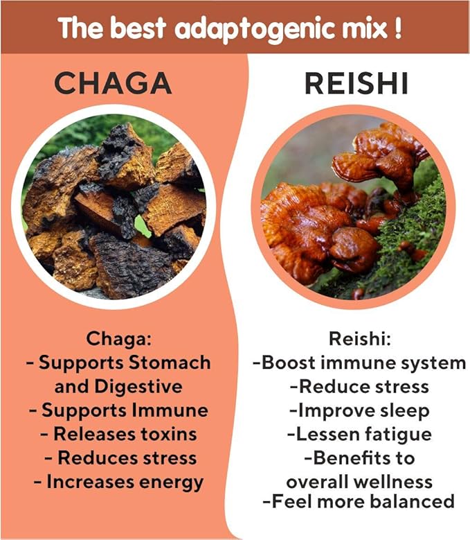 Chaga Reishi Tea Wild Chaga Tea with Reishi - 30 Unbleached Tea Bags - Ganoderma Lingzhi Mushroom Supplement Tea with Wild Chaga
