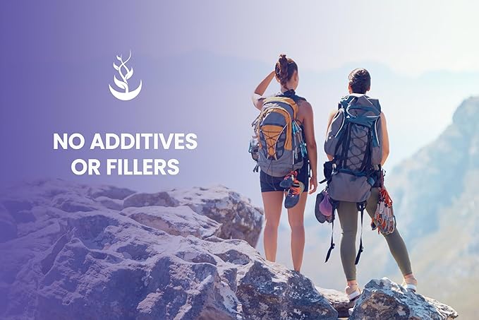 Pure Original Ingredients Bilberry Extract (365 Capsules) No Magnesium Or Rice Fillers, Always Pure, Lab Verified