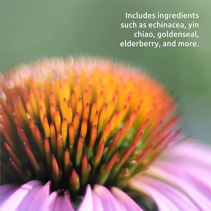 Source Naturals Wellness Herbal Resistance Liquid Immune Defense Supplement and Immunity Booster with Echinacea, Elderberry and Yin Chiao - 8 Fluid Oz