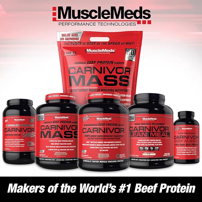 MuscleMeds Amino DECANATE Energy, Pre, Intra Workout Drink, Essential Amino Acids, BCAAs, High Leucine, Glutamine, Muscle Recovery, Strawberry Kiwi, 30 Servings