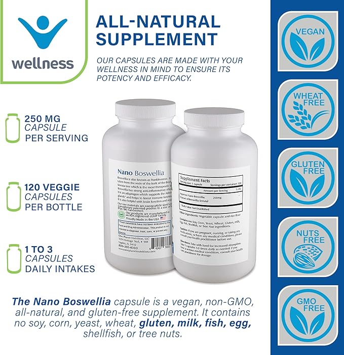 Nano Boswellia 250 mg Veggie Capsules (120 Servings), Boswellia serrata Resin, Supports Cognitive Function for Brain Health, Non-GMO, Vegan, Gluten-Free