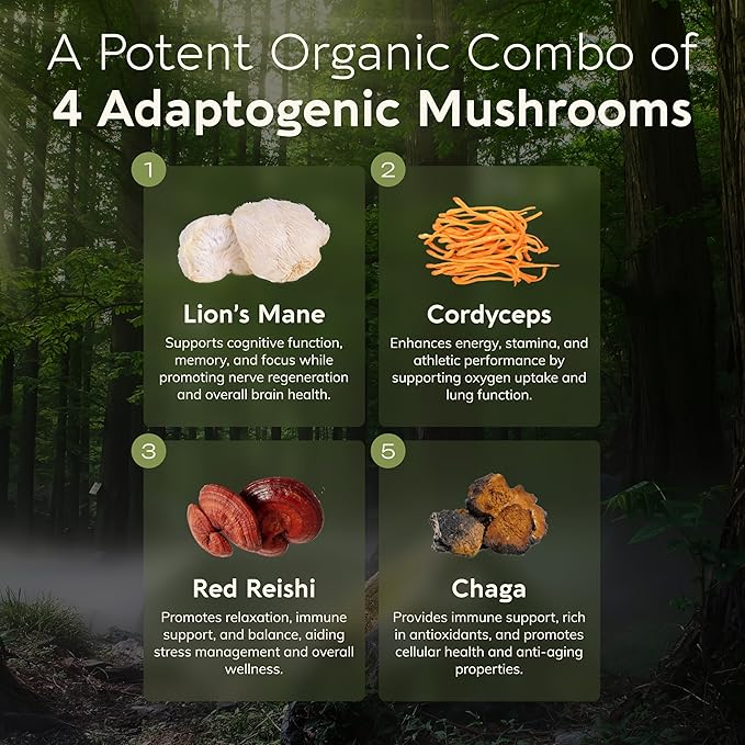 Longevity Botanicals Emperor 4 Organic Mushroom Blend 100g | Reishi, Lion’s Mane, Chaga, Cordyceps | Extract Powder Mix | 10:1 Ratio | 100% Fruiting Bodies | Complex for Immune & Vitality Support