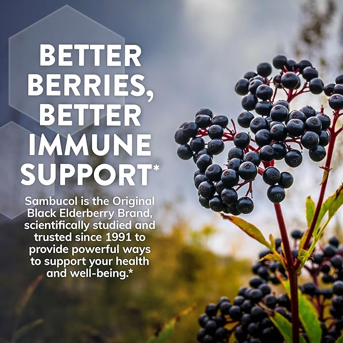 Sambucol Black Elderberry Day & Night Relief - Feel Better Faster, Cough & Mucus Relief for Adults, Immune Support, Non-Drowsy Daytime Relief, Restful Sleep, Melatonin-Free - 24 Capsules, 1 Pack